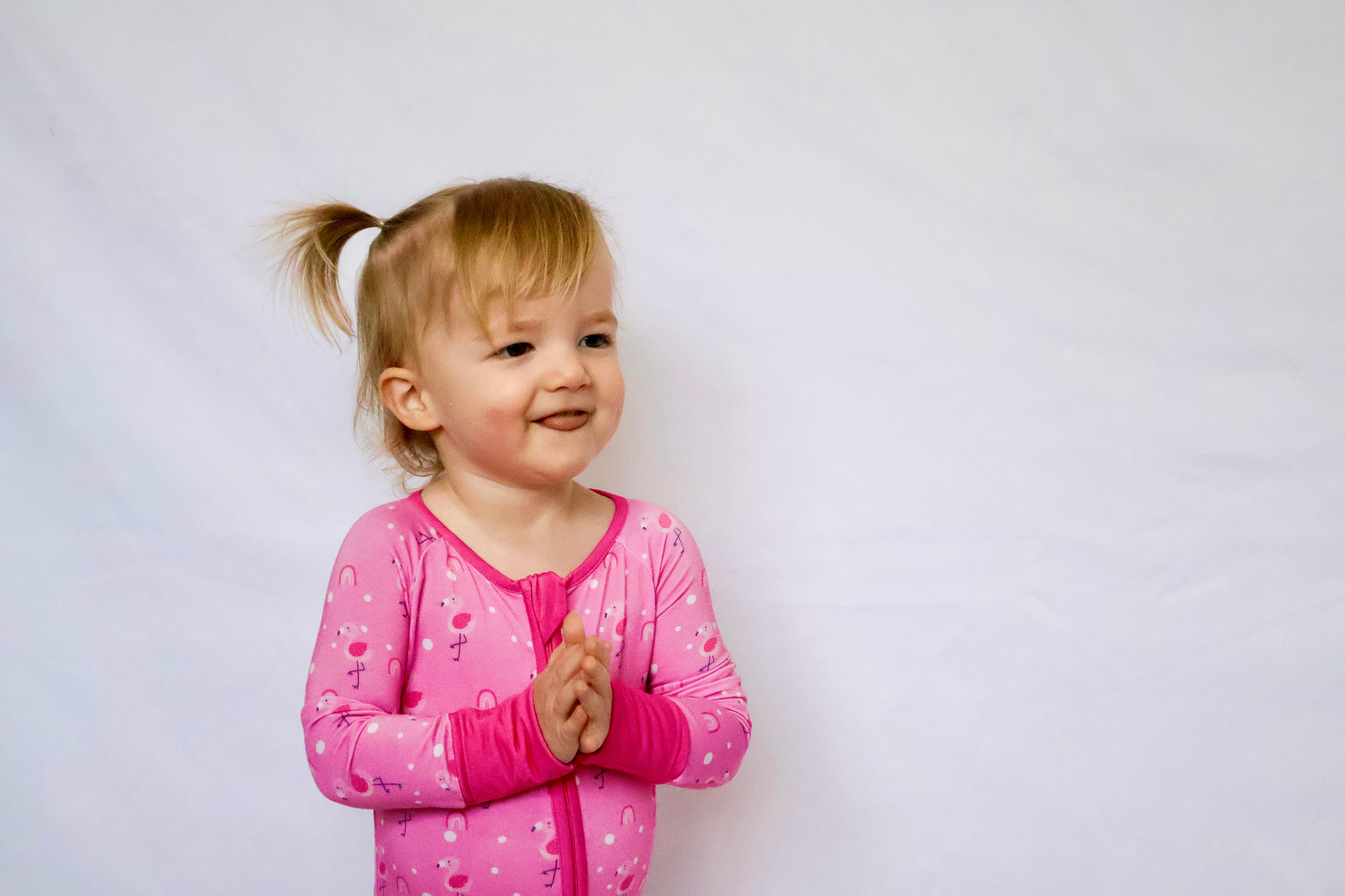 Baby Flamingo Romper